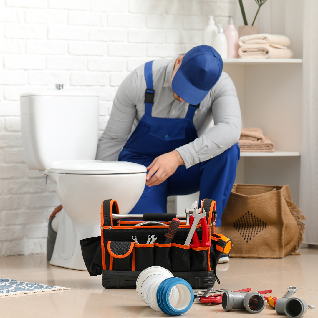 Toilet repair